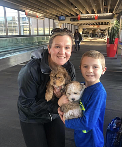 Pups at airport